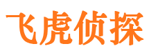 苏仙调查公司